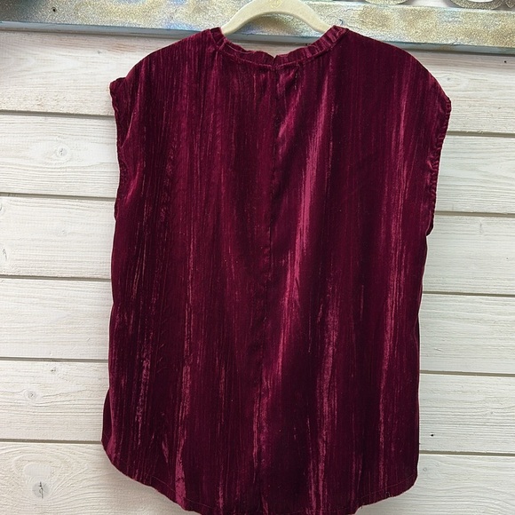 Dear John Red Cap Sleeve Pleated Blouse - Picture 5 of 5